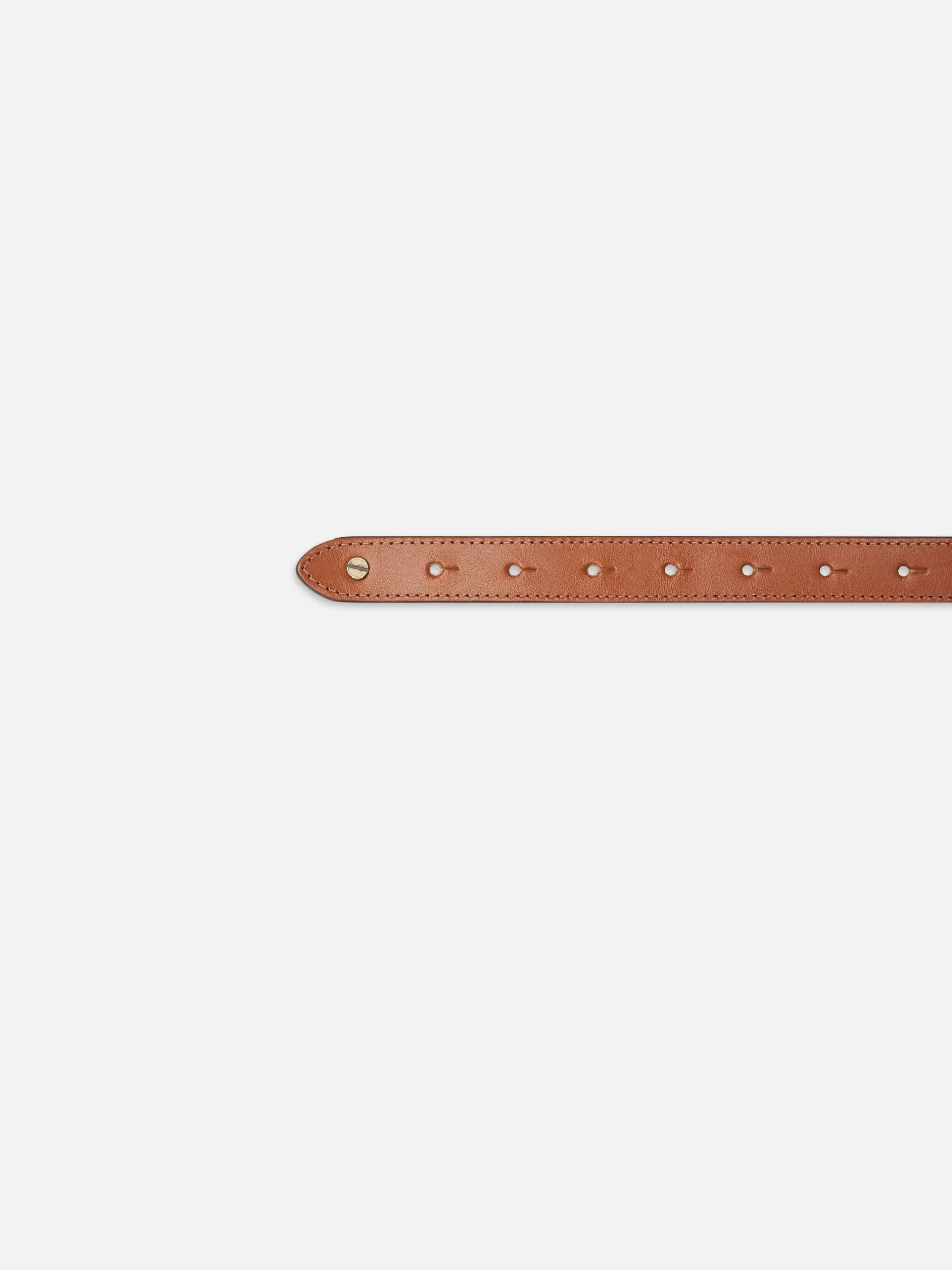 FRAME Equestrian Belt in<Women Belts|All Accessories & Shoes