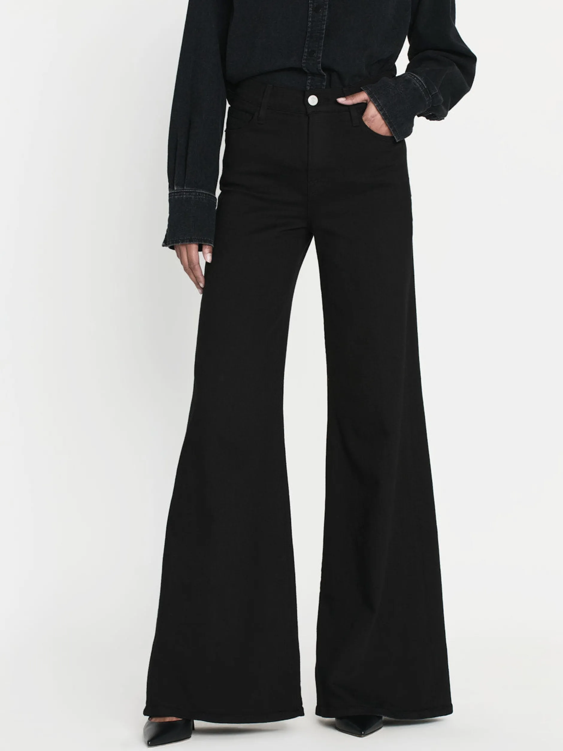 FRAME Le Palazzo in Film Noir<Women Wide Leg|Long