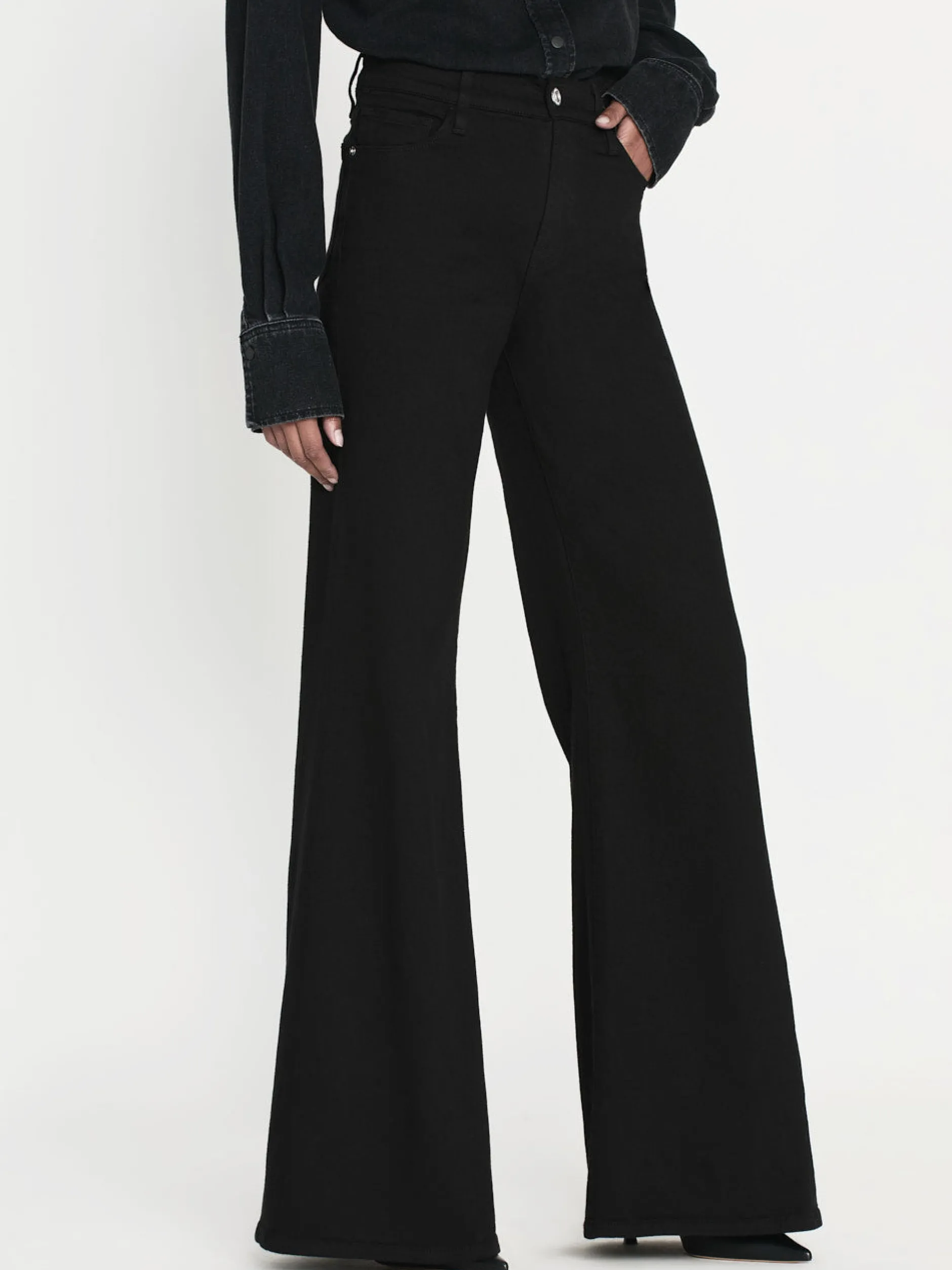 FRAME Le Palazzo in Film Noir<Women Wide Leg|Long